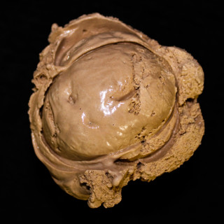 chocolate-320x320